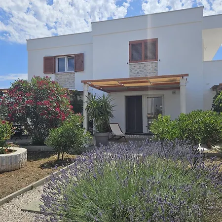 Apartment Cvijet Mora